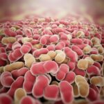 mucous cells function in stomach